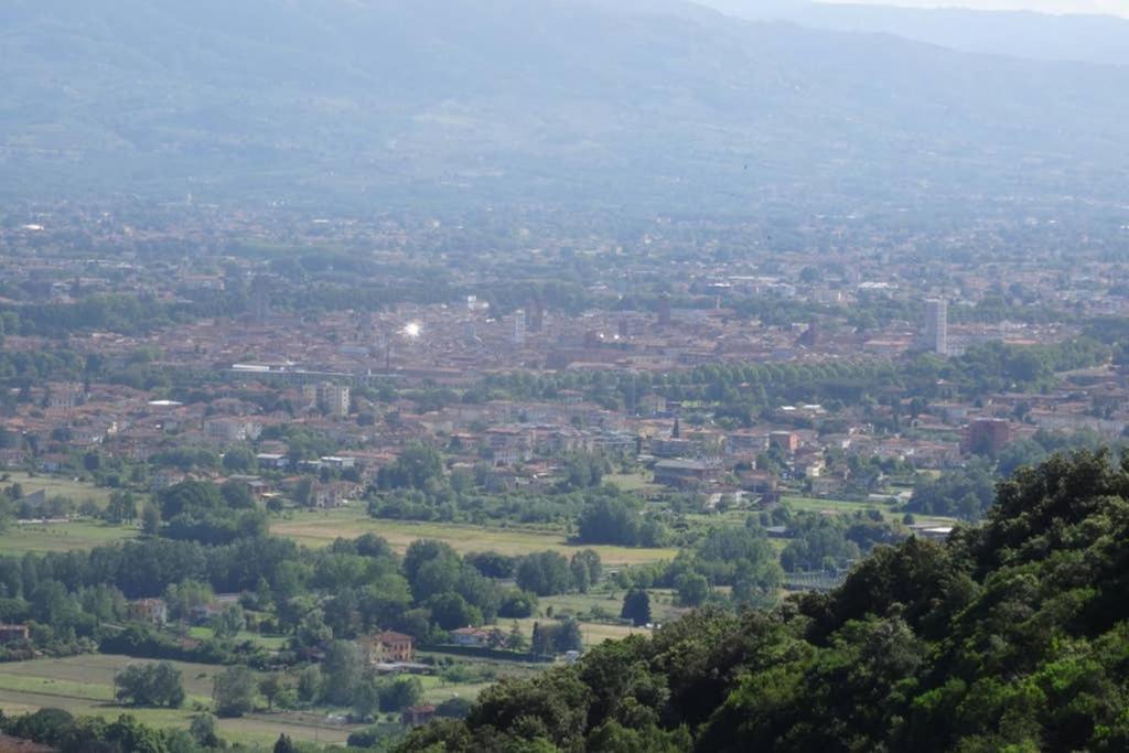 Villetta Farfallina "The Unique Property In The World With An Openable Roof" Lucca Esterno foto